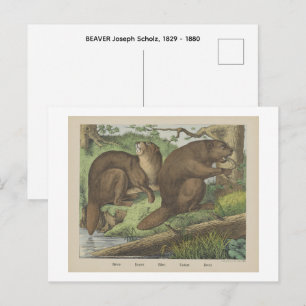 Postal CASTOR OSO Joseph Scholz, 1829 - 1880