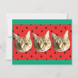 Postal cat