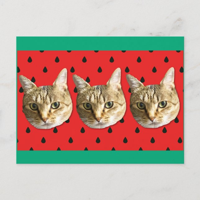 Postal cat (Anverso)