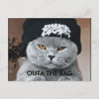 POSTAL CAT