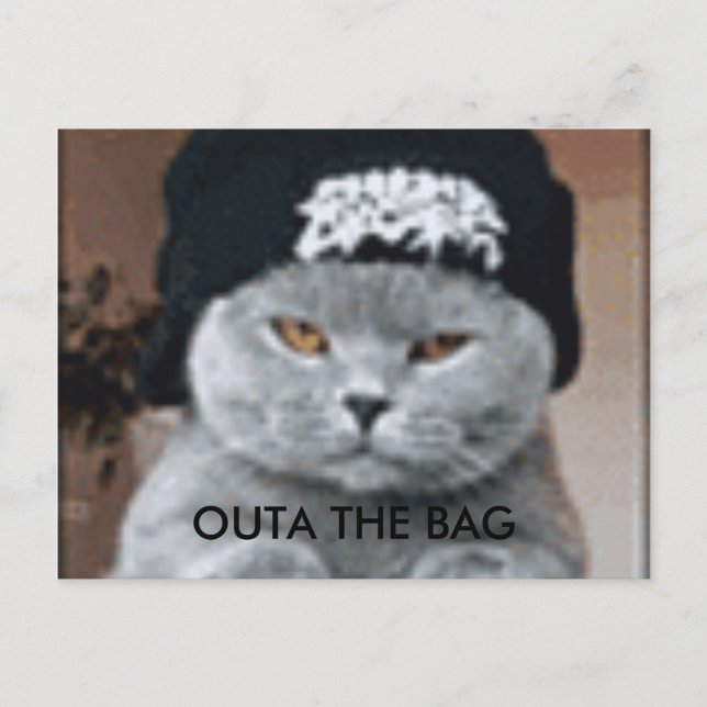 POSTAL CAT (Anverso)