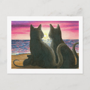 postal cat 434