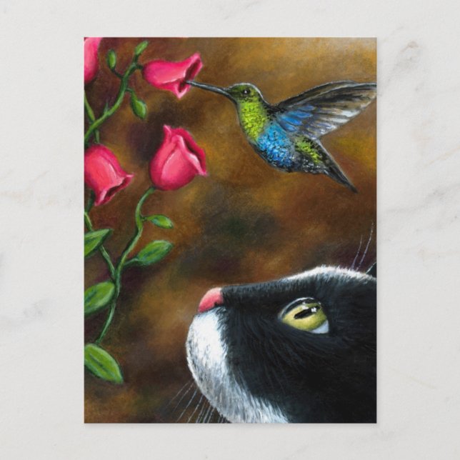 Postal Cat 571 Tuxedo con colibrí (Anverso)