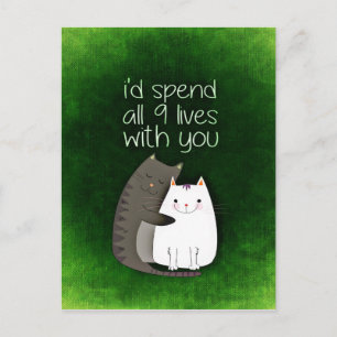 Postal cat-859033.jpg