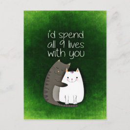 Postal cat-859033.jpg