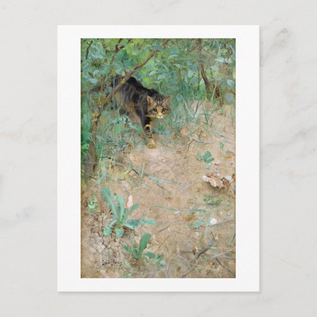 Postal Cat, Bruno Liljefors (Anverso)