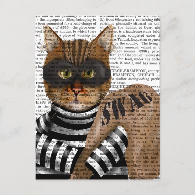 Postal Cat Burglar (Anverso)