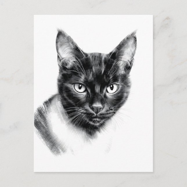Postal Cat Charcoal (Anverso)
