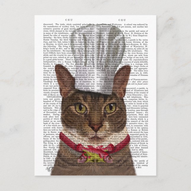 Postal Cat Chef (Anverso)