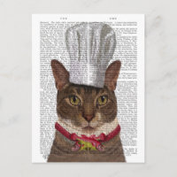 Cat Chef