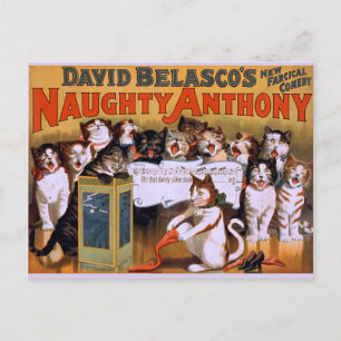 Postal ¡Cat Chorus! -Postal