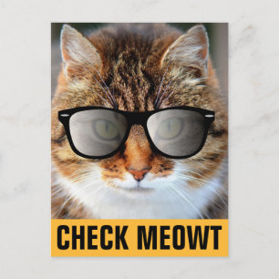 Postal CAT con gafas de sol, CHECK MEOWT POSTCARD