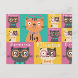 Postal Cat Dice Hey Memes Graciosos