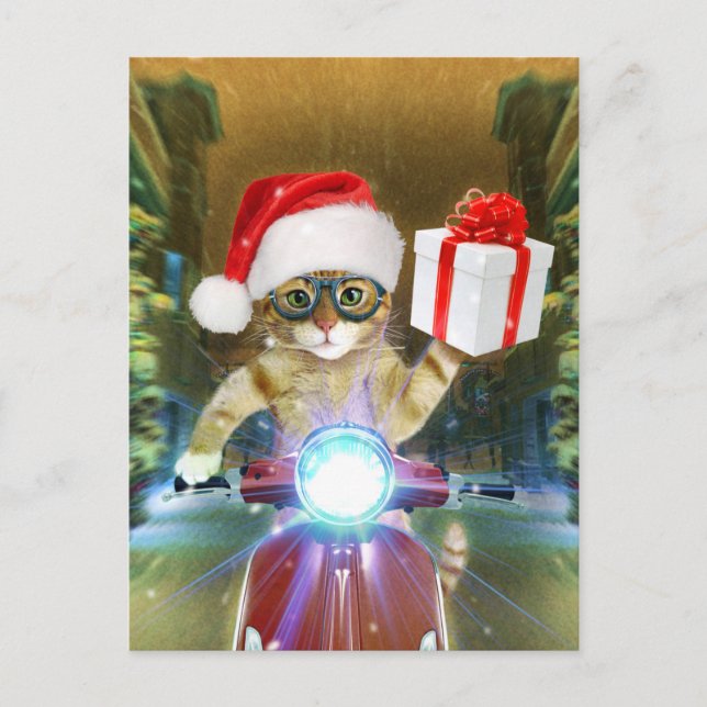 Postal Cat in the Santa Claus hat delivers Christmas gift (Anverso)