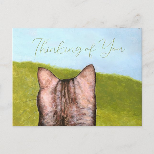 Postal Cat in the Window  (Anverso)