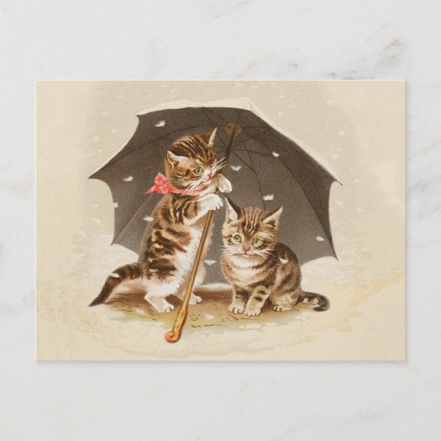 Postal Cat Kitten kitty bonito vintage antiguo lindo (Anverso)