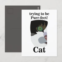 Cat Lover Funny