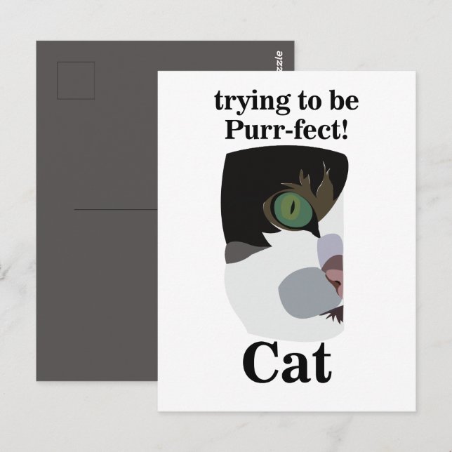 Postal Cat Lover Funny (Anverso / Reverso)