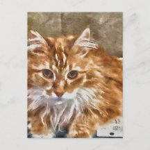Postal Cat naranja