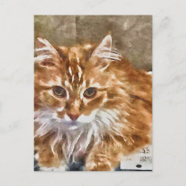 Postal Cat naranja