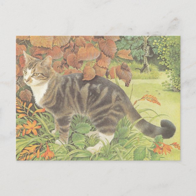 POSTAL CAT PAINTED POSTCARD (Anverso)