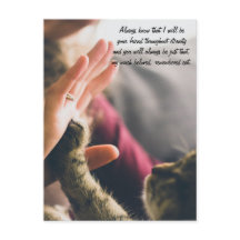 Cat Paw High-Five