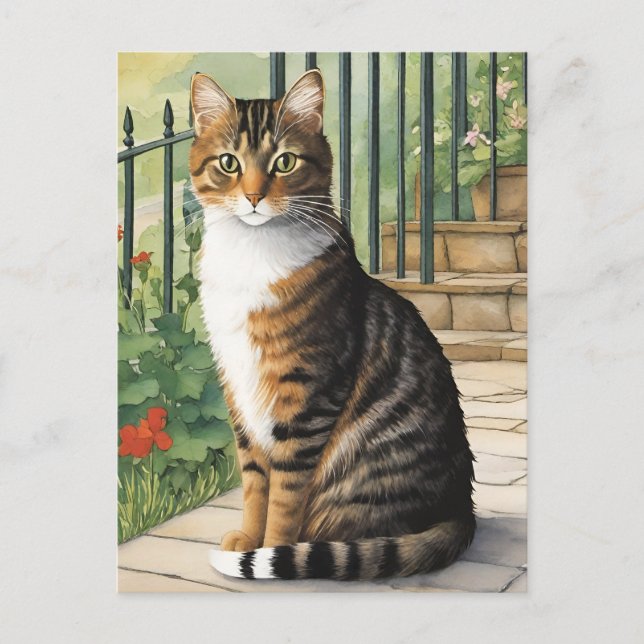 Postal Cat personalizado (Anverso)