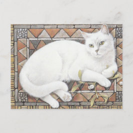 POSTAL CAT PINTADO POSTCARD