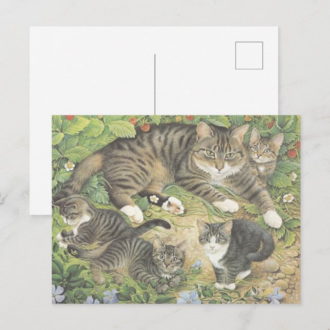 POSTAL CAT PINTADO POSTCARD (Anverso / Reverso)