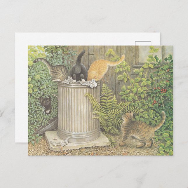 POSTAL CAT POSTCARD ILLUSTRATION (Anverso / Reverso)