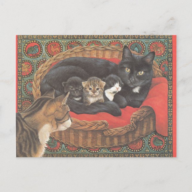 Postal Cat Postcards (Anverso)