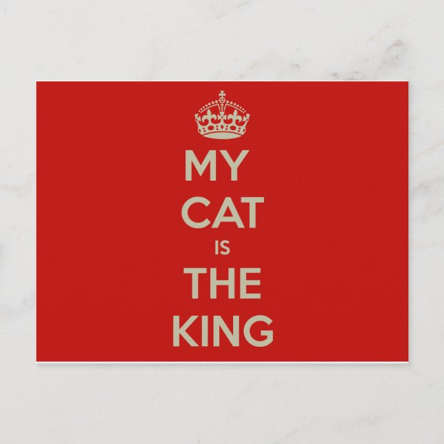 Postal Cat Qoute (Anverso)