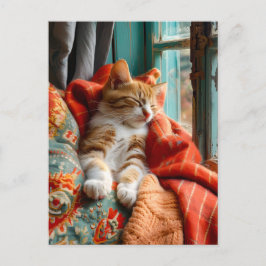 Postal Cat Sleeping by Window with Pillow and Blanket