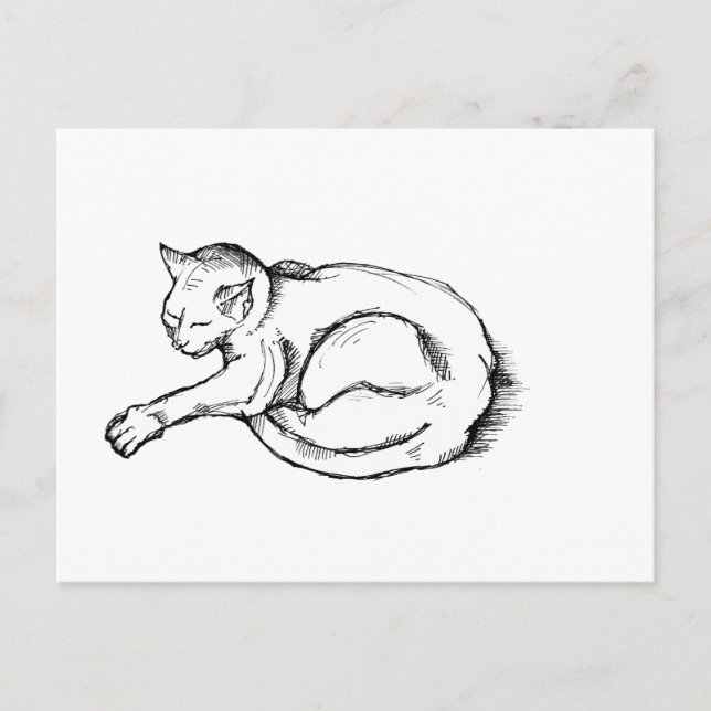 Postal Cat Sleeping Illustration Pen Drawing Art (Anverso)
