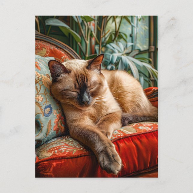 Postal Cat Sleeping on Cozy Chair (Anverso)