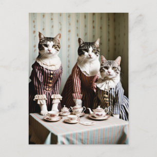 Postal Cat Tea Fiesta