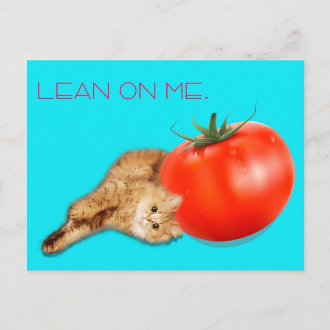 Postal Cat & Tomato Postcard /　猫＆トマト　ポストカード (Anverso)