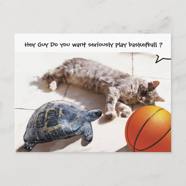 POSTAL CAT, TORTUGA Y BALONCESTO (Anverso)