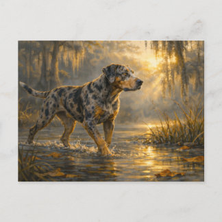 Postal Catahoula Sunrise | Arte de Perro de Caza | Tarjet