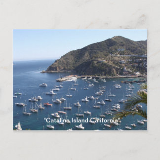 Postal , "Catalina Island California"
