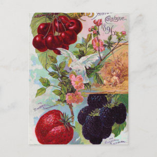 Postal Catálogo anual de frutas 1896