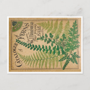 Postal Catálogo de helechos