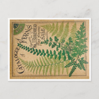 Postal Catálogo de helechos