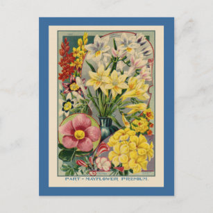 Postal Catálogo de semillas de flores de época
