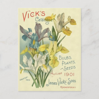 Postal Catálogo de semillas y plantas de Vick Vintage 190