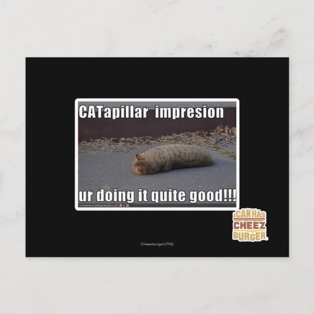 Postal CATapillar (Anverso)