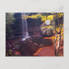 Postal Cataratas Cucumber, parque estatal Ohiopyle, Penns