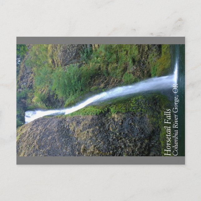 Postal Cataratas de cola de caballo, Oregón (Anverso)