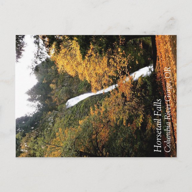 Postal Cataratas de cola de caballo, Oregón (Anverso)