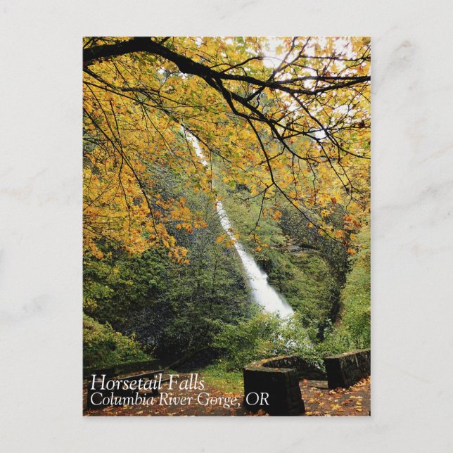Postal Cataratas de cola de caballo, Oregón (Anverso)